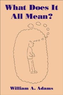 What Does It All Mean? : A Humanistic Account of Human Experience