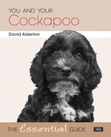 You and Your Cockapoo