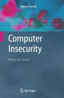 Computer Insecurity : Risking the System