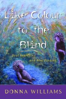 Like Colour to the Blind : Soul Searching and Soul Finding