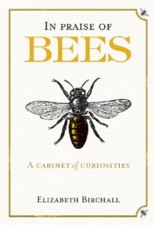 In Praise of Bees : A Cabinet of Curiosities