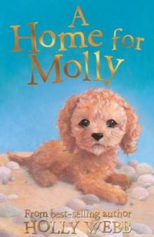 A Home for Molly