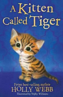 A Kitten Called Tiger