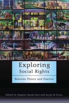 Exploring Social Rights : Between Theory and Practice