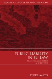 Public Liability in EU Law : Brasserie, Bergaderm and Beyond