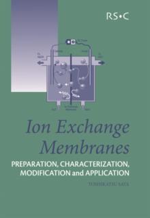 Ion Exchange Membranes : Preparation, Characterization, Modification and Application