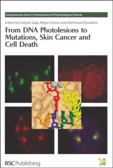 From DNA Photolesions to Mutations, Skin Cancer and Cell Death