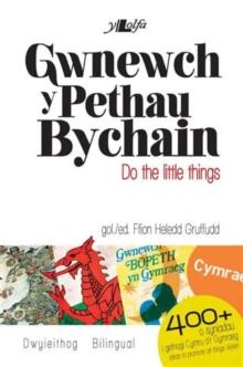 Gwnewch y Pethau Bychain/Do the Little Things