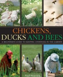 Chickens, Ducks and Bees : A beginner's guide to keeping livestock in the garden