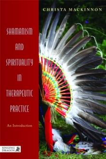 Shamanism and Spirituality in Therapeutic Practice : An Introduction