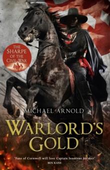 Warlord's Gold : Book 5 of The Civil War Chronicles