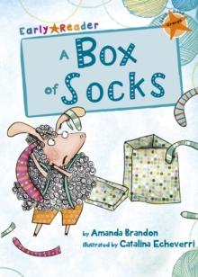 A Box of Socks : (Orange Early Reader)