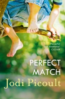 Perfect Match : the international bestseller about the strength of a mother's love