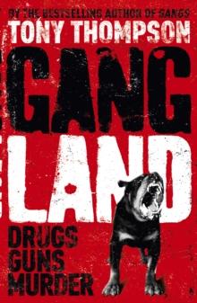 Gang Land : From footsoldiers to kingpins, the search for Mr Big