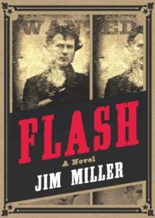 Flash : A Novel