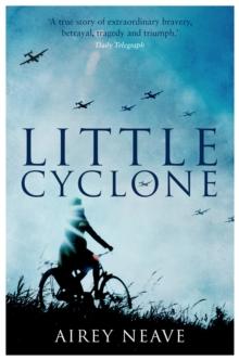 Little Cyclone