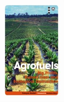 Agrofuels : Big Profits, Ruined Lives and Ecological Destruction