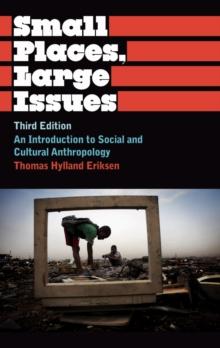 Small Places, Large Issues : An Introduction to Social and Cultural Anthropology