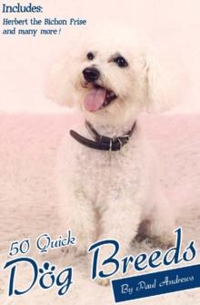 50 Quick Dog Breeds : The Quick Guide to Some Popular Dog Breeds