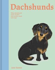 Dachshunds : What Dachshunds want: in their own words, woofs and wags