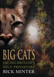 Big Cats : Facing Britain's Wild Predators