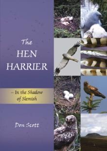 The Hen Harrier : In the Shadow of Slemish