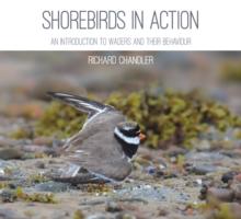 Shorebirds in Action : An Introduction to Waders and Their Behaviour