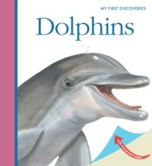 Dolphins