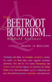 From Beetroot to Buddhism : Answers to Questions