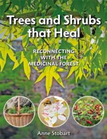 Trees and Shrubs that Heal : Reconnecting With The Medicinal Forest