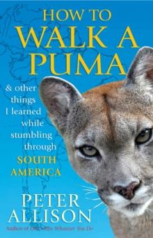 How to Walk a Puma : & other things I learned while stumbing around South America