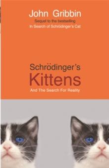 Schrodinger's Kittens : And The Search For Reality