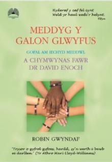 Meddyg y Galon Glwyfus - Gofal am Iechyd Meddwl a Chymwynas Fawr Dr David Enoch : Gofal am Iechyd Meddwl a Chymwynas Fawr Dr David Enoch