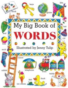 My Big Book Of Words