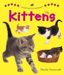 Say and Point Picture Boards: Kittens