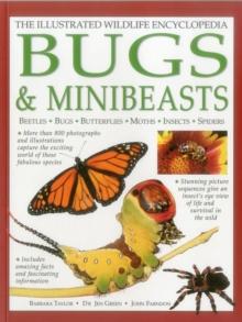 Illustrated Wildlife Encyclopedia: Bugs & Minibeasts