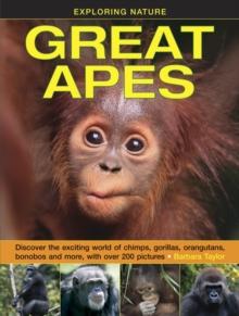 Exploring Nature: Great Apes