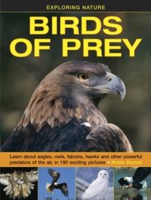 Exploring Nature: Birds Of Prey