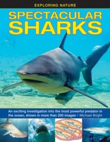 Exploring Nature: Spectacular Sharks