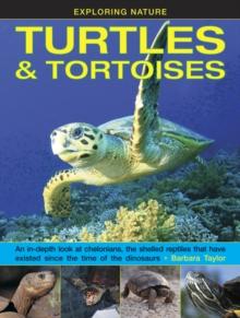 Exploring Nature: Turtles & Tortoises