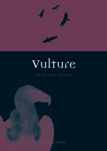 Vulture