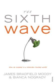 The Sixth Wave : How to Succeed in a Resource-Limited World