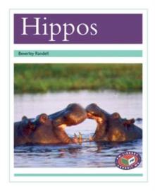 Hippos