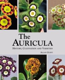 Auricula: History, Cultivation and Varieties