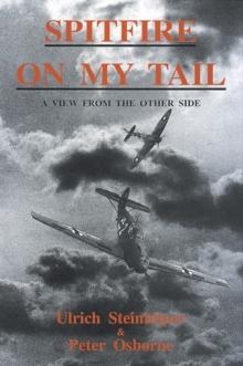 Spitfire on My Tail : A View from the Other Side