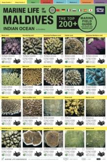 Maldives Marine Life Field Guide : "Top 200+"