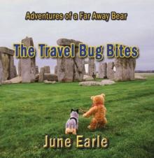 Adventures of a Far Away Bear : Book 1 - The Travel Bug Bites