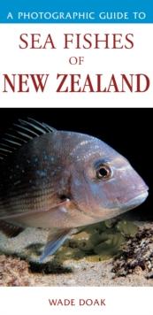 Photographic Guide To Sea Fishes Of New Zealand