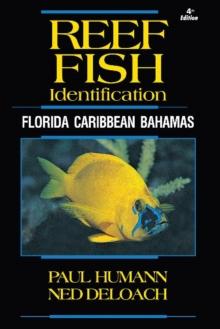 Reef Fish Identification : Florida Caribbean Bahamas