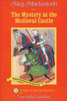 Meg Mackintosh and the Mystery at the Medieval Castle : A Solve-It-Yourself Mystery